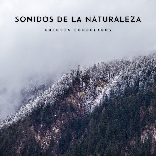 Sonidos De La Naturaleza: Bosques Congelados