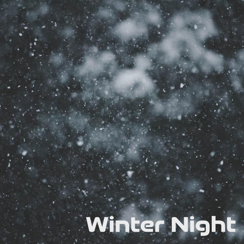 Winter Night