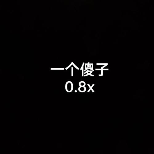 一个傻子0.8x