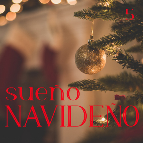 Sueño Navideño Vol. 5