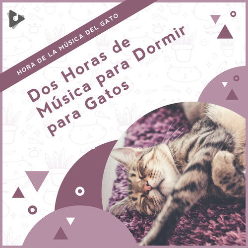 2 Horas de Música para Dormir para Gatos