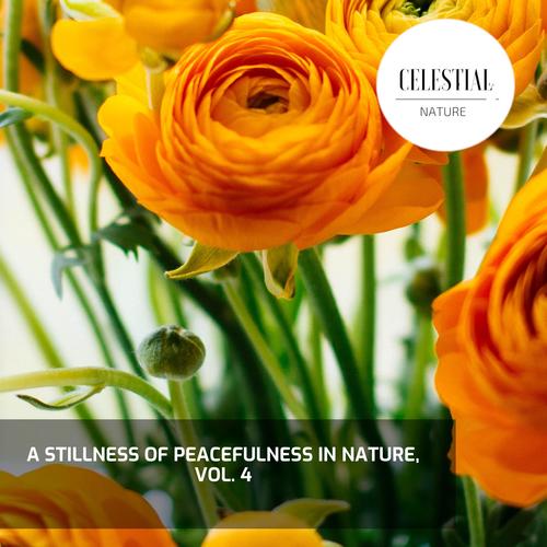 A Stillness of Peacefulness in Nature, Vol. 4