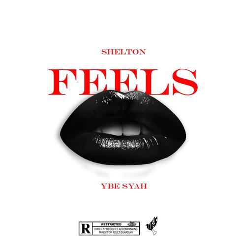 Feels (feat. YBE Syah) [Explicit]