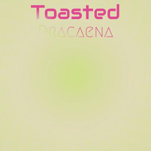 Toasted Dracaena