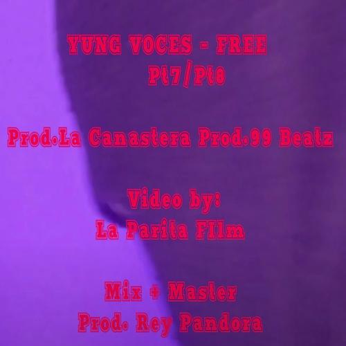 Free Pt7 y Pt8