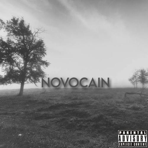 Novocain (feat. Xavier) [Explicit]