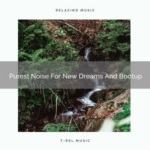 Purest Noise For New Dreams And Bootup