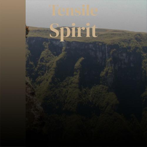 Tensile Spirit