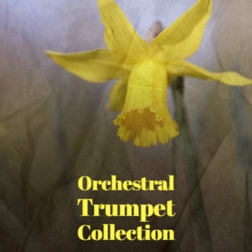 Orchestral Trumpet Collection