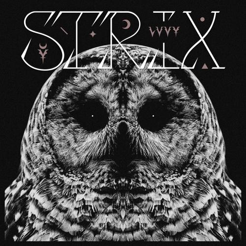 Strix (Explicit)