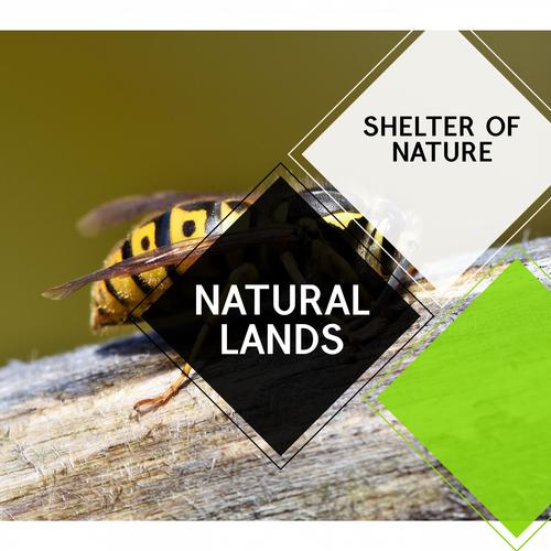 Natural Lands - Shelter of Nature