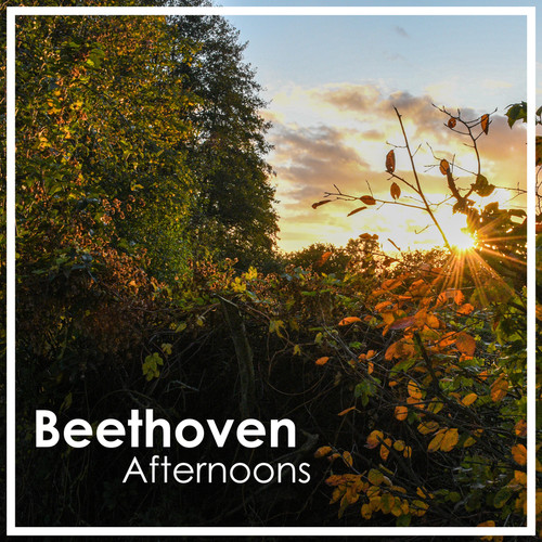 Beethoven Afternoons