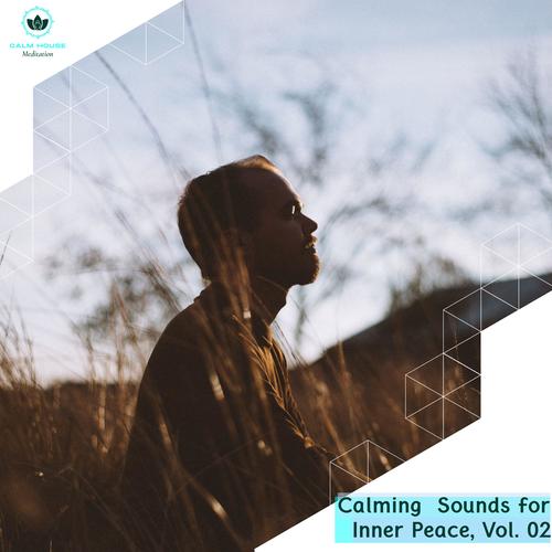 Calming Sounds For Inner Peace, Vol. 02