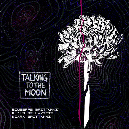 Talking to the Moon