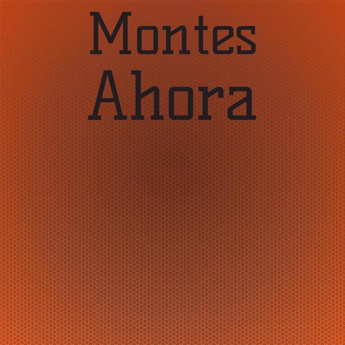 Montes Ahora