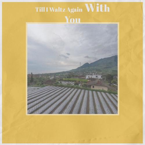 Till I Waltz Again With You
