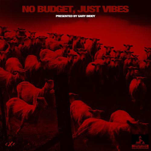 NO BUDGET, JUST VIBES (Explicit)