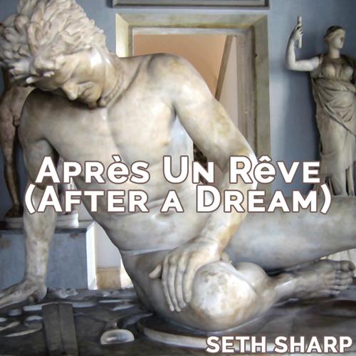 Après un Rêve (After A Dream)