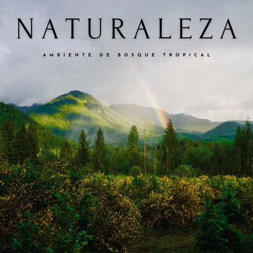 Naturaleza: Ambiente De Bosque Tropical