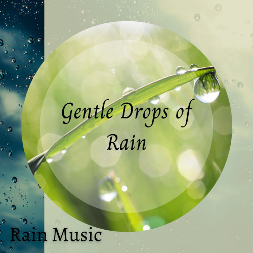 Rain Music: Gentle Drops of Rain