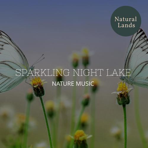 Sparkling Night Lake - Nature Music