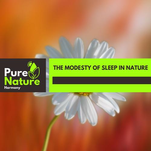 The Modesty of Sleep in Nature