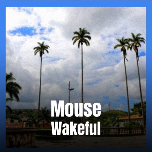 Mouse Wakeful