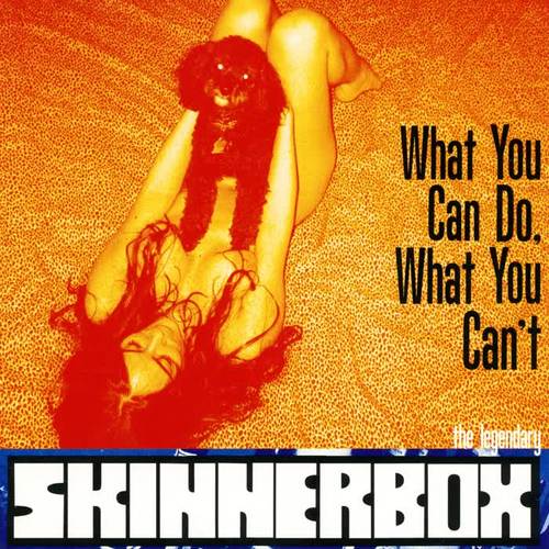 What You Can Do, What You Can't (Explicit)