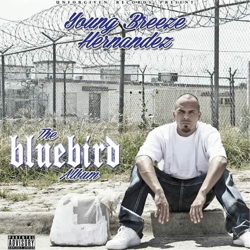 The Bluebird Album (Explicit)