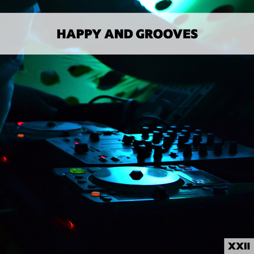 Happy And Grooves XXII