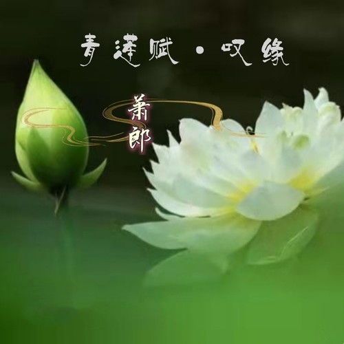 青莲赋·叹缘