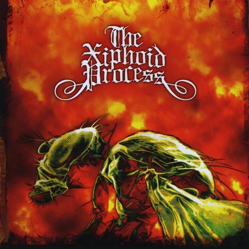 methodically drained_the xiphoid process_单曲在线试听_酷我音乐