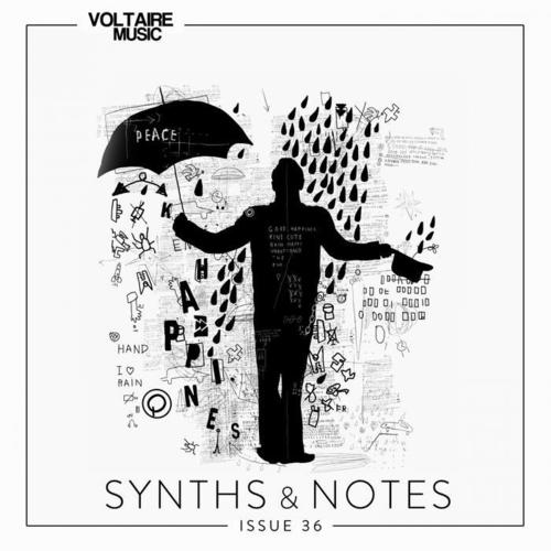 Synths and Notes 36