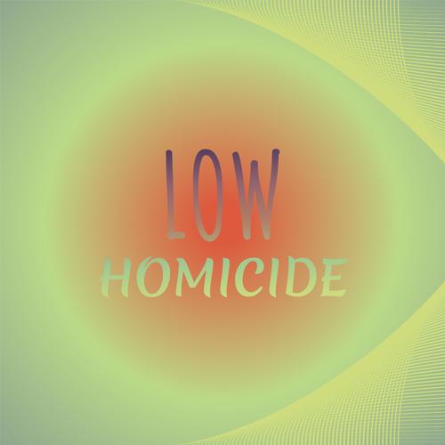 Low Homicide