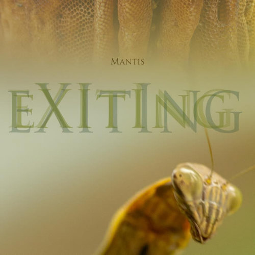 Exiting (Explicit)