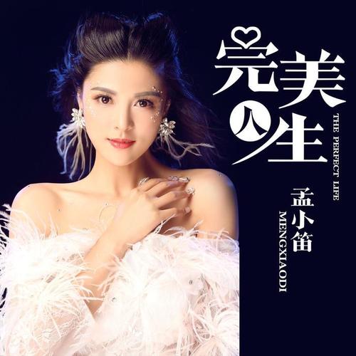 完美人生