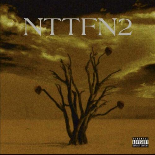 NTTFN2 (Explicit)