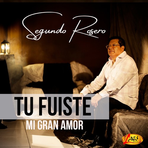 Tu Fuiste Mi Gran Amor