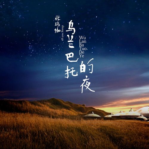 乌兰巴托的夜
