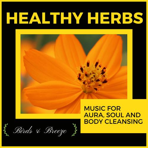 Healthy Herbs - Music For Aura, Soul And Body Cleansing