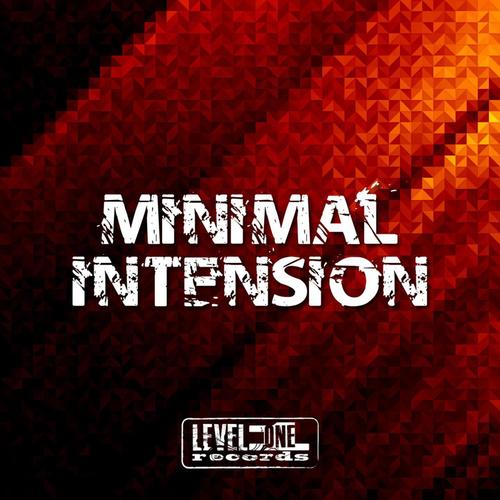 Minimal Intension