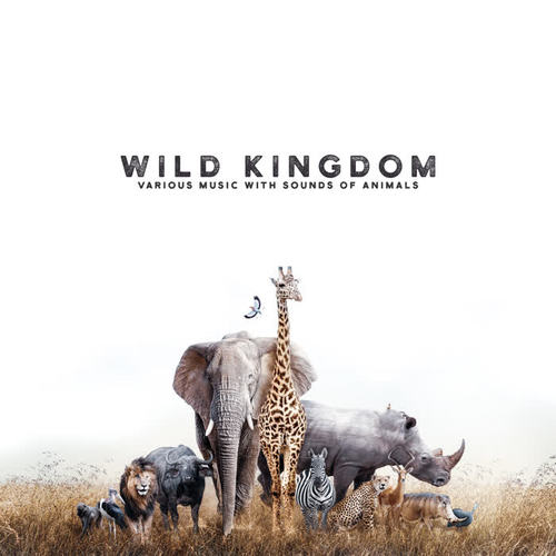 Wild Kingdom – Various Music with Sounds of Animals