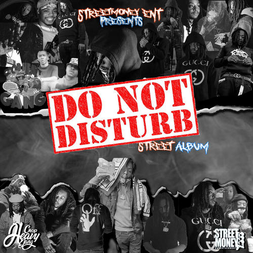 Do Not Disturb (Street Album) [Explicit]