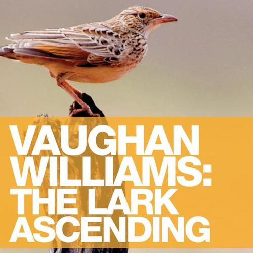 Vaughan Williams: The Lark Ascending