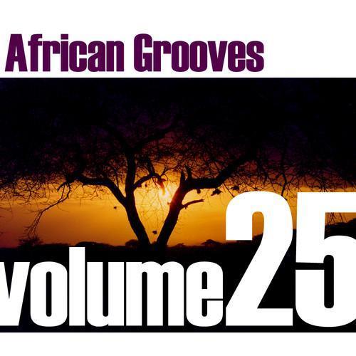 African Grooves Vol.25