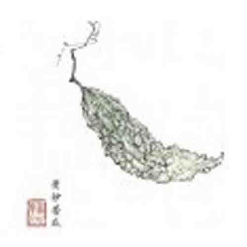 清炒苦瓜