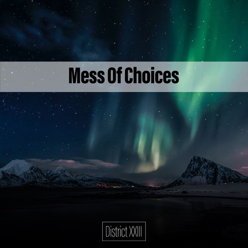 Mess Of Choices District XXIII