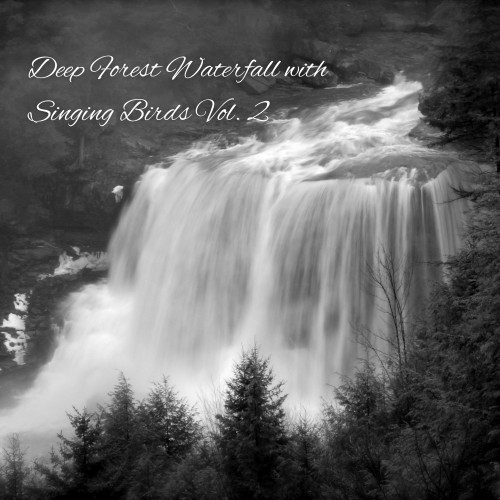 Deep Forest Waterfall with Singing Birds Vol. 2