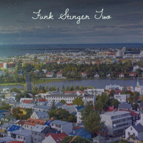 Funk Stinger Two