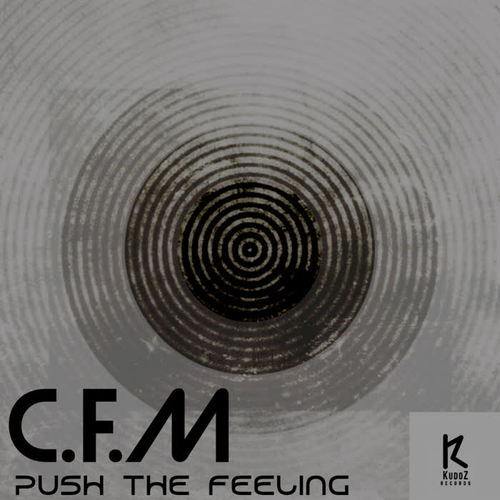 Push The Feeling